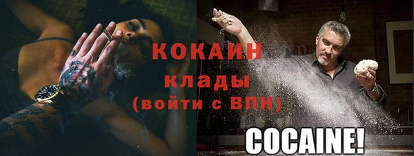 крисы Белокуриха