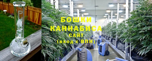 крисы Белокуриха