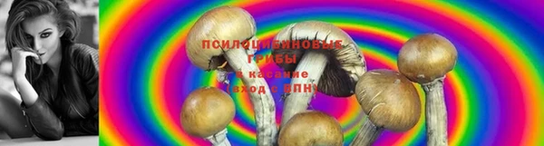 2c-b Беломорск