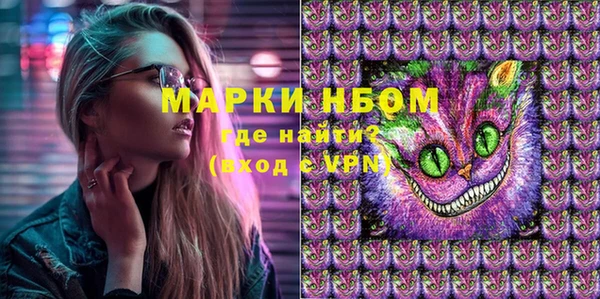 крисы Белокуриха