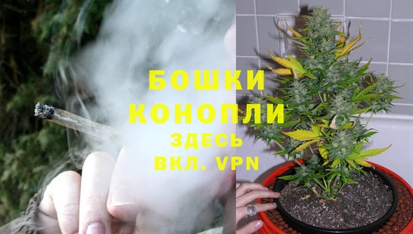 2c-b Беломорск