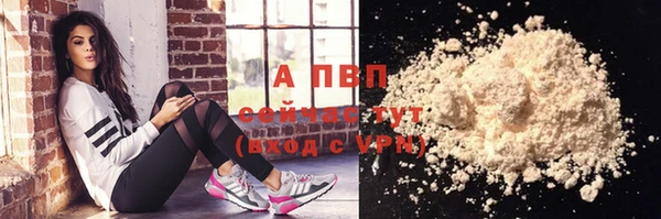 крисы Белокуриха