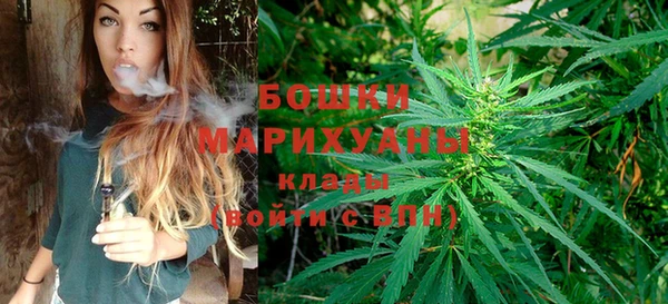 амф Белоозёрский