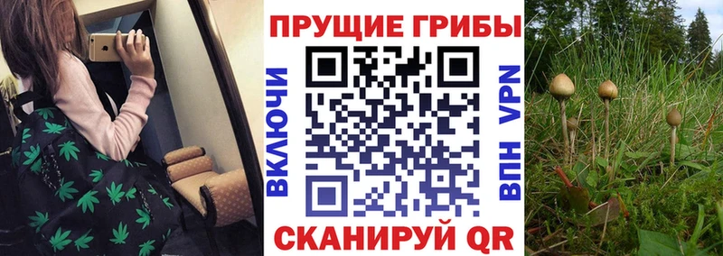 Галлюциногенные грибы мухоморы  blacksprut ссылки  Крымск  где купить наркоту 